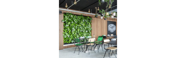 NaturalGreenwall