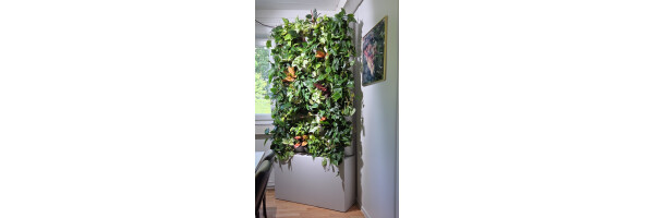 PlantaNova B1 GreenWall