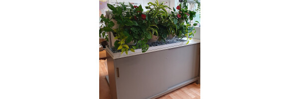 PLN GreenWall - Gefäße