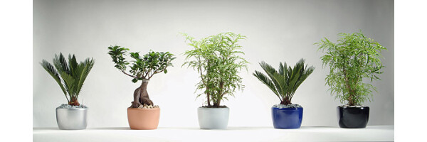 Venus Keramikgefäß