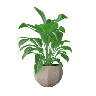 Merkur - hängendes Pflanzgefäß 40