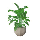 Merkur - hängendes Pflanzgefäß 60