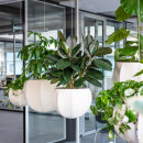 Merkur - hängendes Pflanzgefäß 60