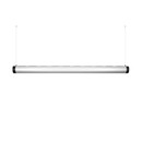 Pendularis - Floating Indoor Garden 11