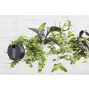 Pendularis - Floating Indoor Garden 11