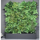 PLANTANOVA - 1m² Komplettset