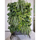 PlantaNova Smart Divider 80 schwarz, beidseitig mit 60x...