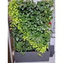 PlantaNova Smart Wall 120x40/200 einseitig mit 56x...