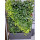 PlantaNova Smart Wall 120x40/200 einseitig mit 56x PlantaNova bestückt.