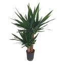 Yucca ele. Tuff  45/15 80-100 15/19 - LV-1