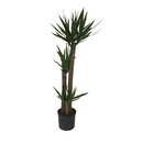 Yucca ele. Tuff  90/60/30  130-150 22/19 - LV-1
