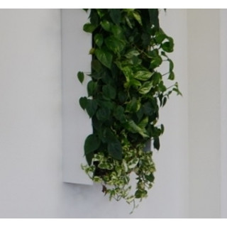 NextGen Side Panels (Seitenverkleidung) für PT-1312, 80cm