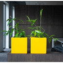 Largo QU 30x30/h30, lackiert in RAL 7043 HS