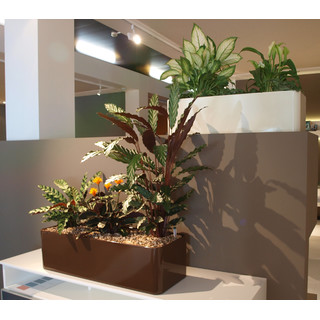 Astron RECHTECK Rohling 80x30/29