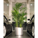 Astron SÄULE RUND strukturlack Ø50/h40 anthrazitgrau 7016