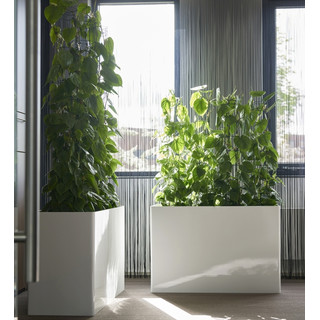 Astron RECHTECK glattlack 120x40/h75