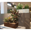 Astron RECHTECK strukturlack 80x30/h29