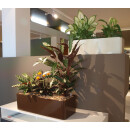 Astron RECHTECK strukturlack 80x30/h29 verkehrsgrau B 7043