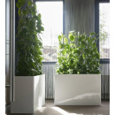 Astron RECHTECK strukturlack 90x40/h60 verkehrsgrau B 7043