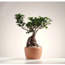 VENUS Keramikgefäß 15/19 terra matt