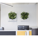 LivePicture 1, 72x72x7 weiß glanz (Abverkauf)