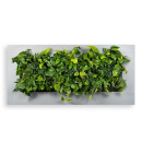 LivePicture 3, 152x72x7 silbergrau (Abverkauf)