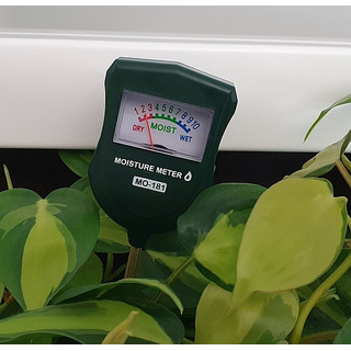 Feuchte-Tester klein NGW