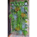 PLANTANOVA - Gefäß für Wandbegrünung 220/195 x 165 / 189 - telegrau