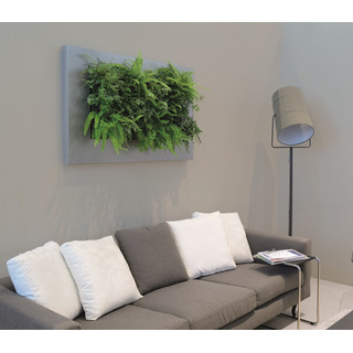 LivePicture 2, 112x72x7 weiß matt