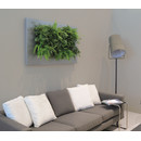 LivePicture 2, 112x72x7 weiß matt