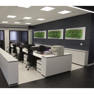 LivePicture 3, 152x72x7 weiß matt