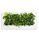 LivePicture 3, 152x72x7 schwarz matt