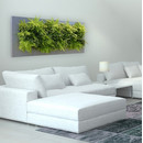 LivePicture 4, 192x72x7 schwarz matt