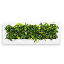 LivePicture 4, 192x72x7 schwarz matt